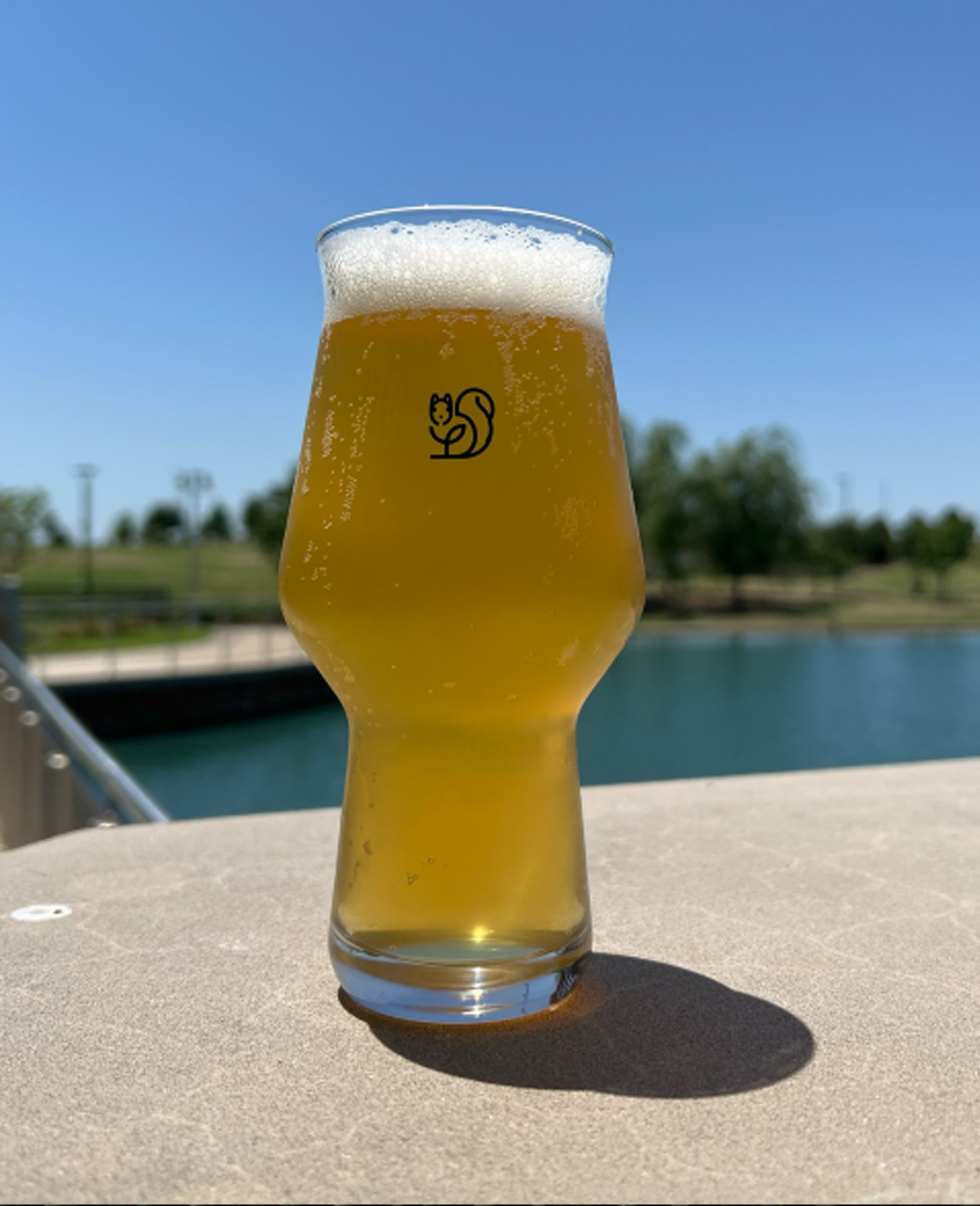 Hazy IPA from our brewery in The Colony, TX