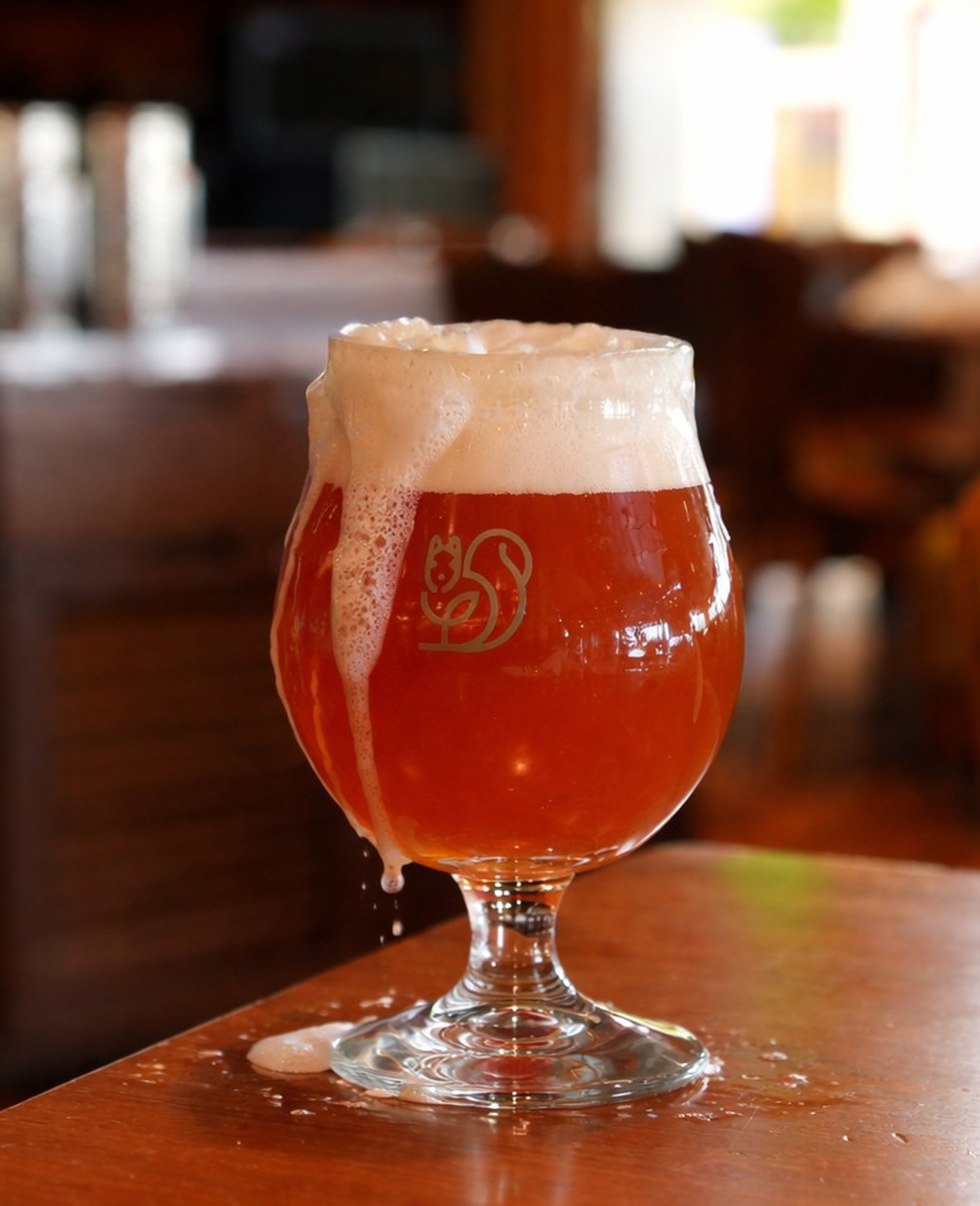 Return of Dr. Universe  from our brewery in The Colony, TX