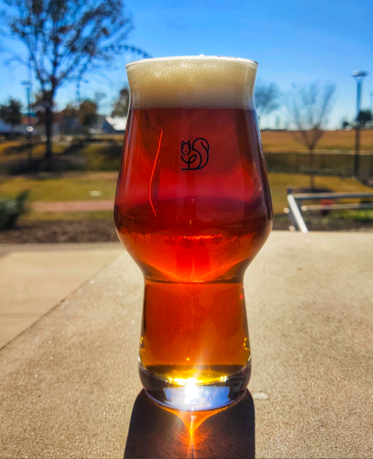 Sonidero  from our brewery in The Colony, TX