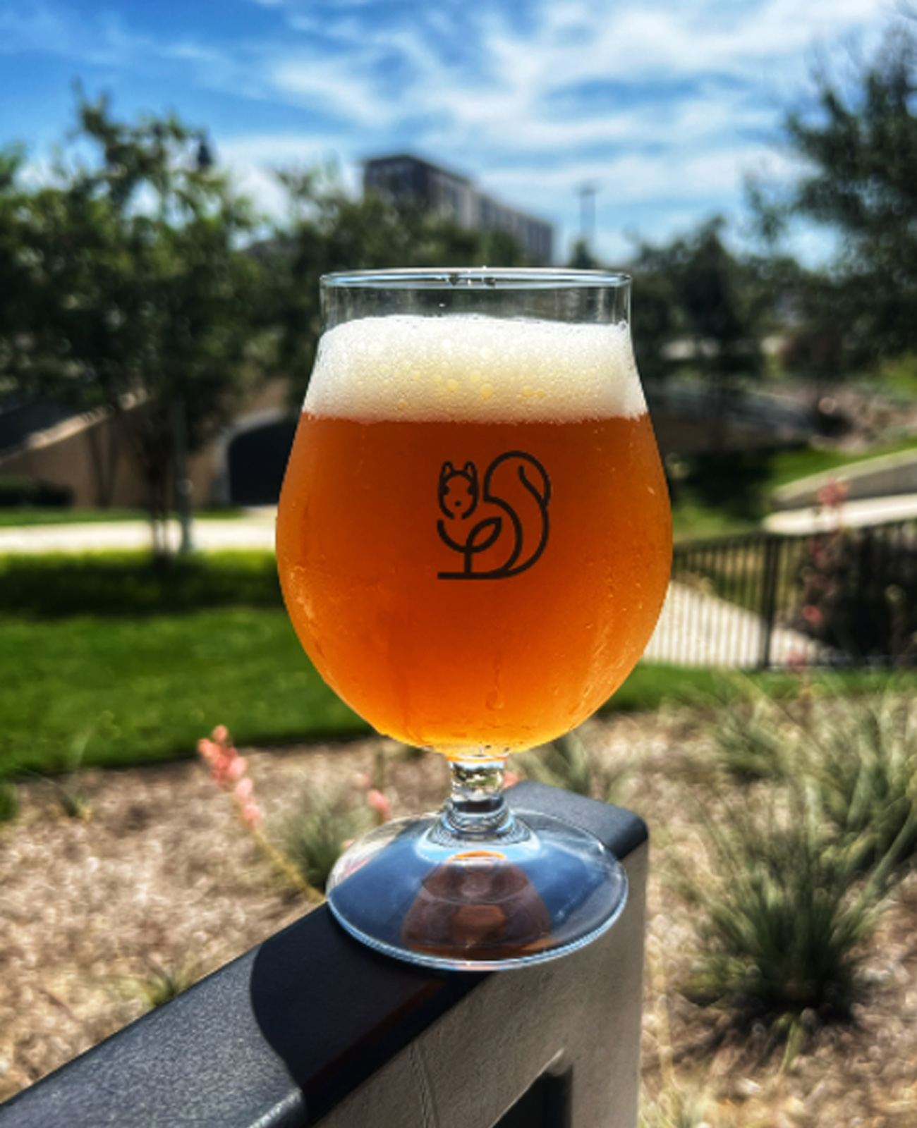 Hazy IPA from our brewery in The Colony, TX